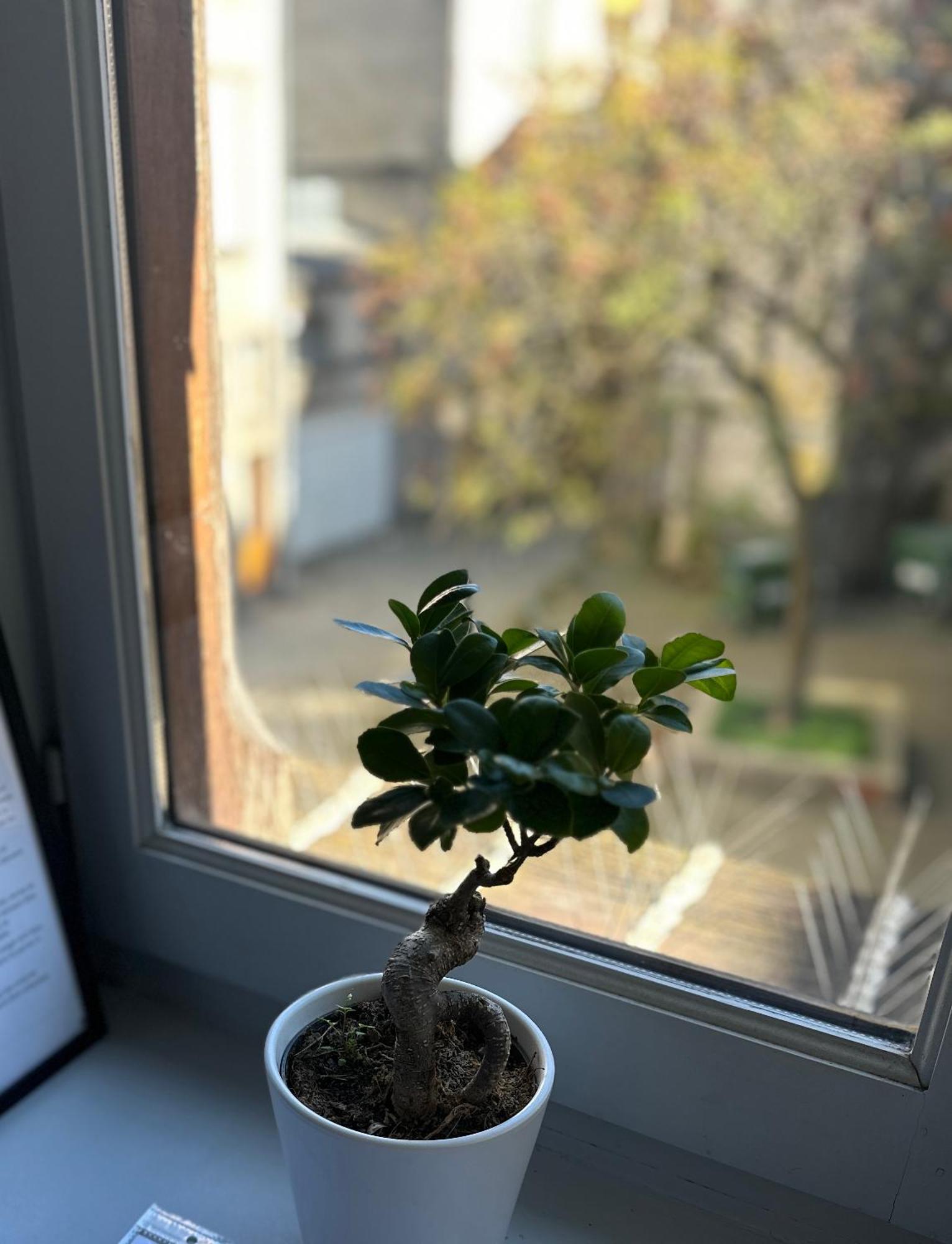 Limoges Centre Appartement De Charme Εξωτερικό φωτογραφία